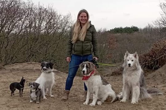 Shadowdogs - Professionele hondentraining in Den Haag